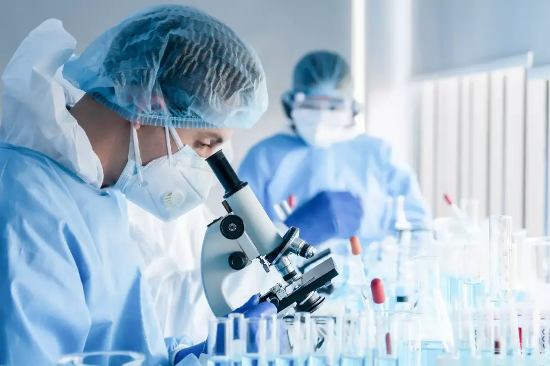 Scientists in full PPE using a microscope in a bright laboratory, examining samples at a benchtop.